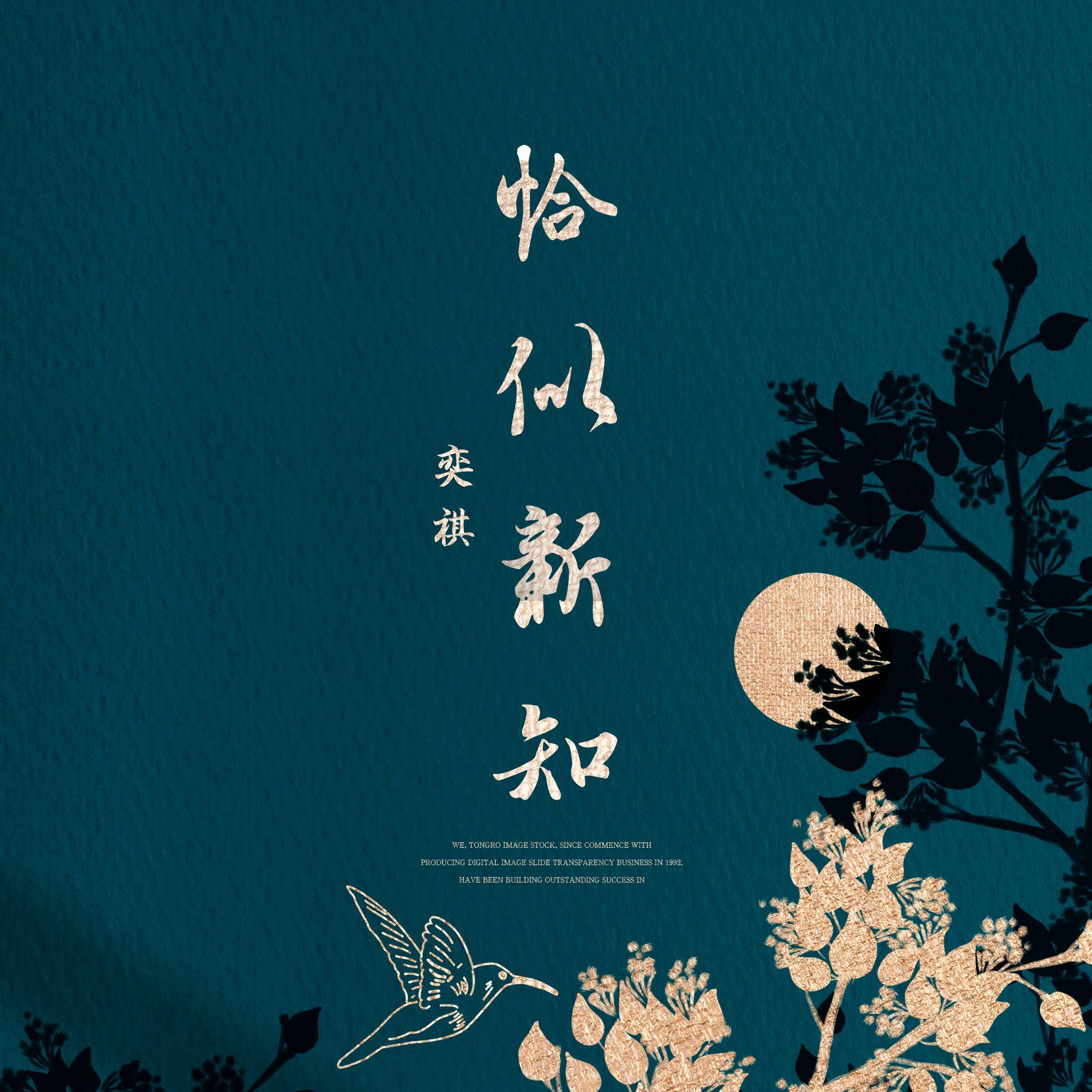 恰似新知 (伴奏)