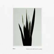 Weak (Live @ Electric Lady)