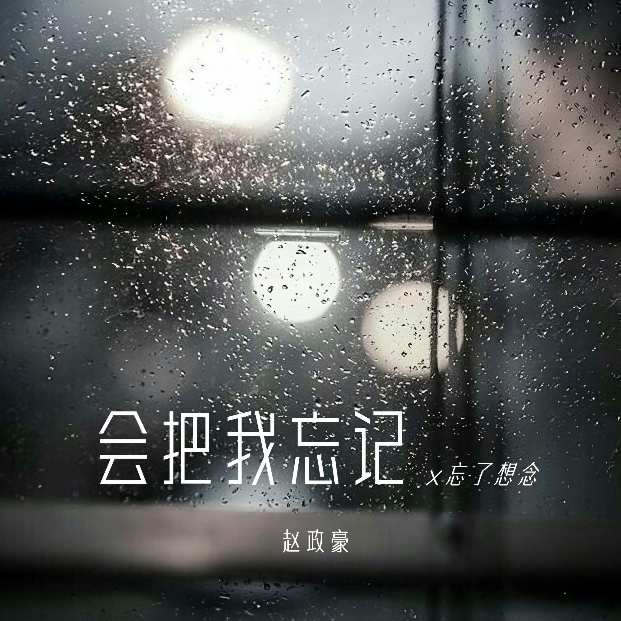 会把我忘记x忘了想念专辑