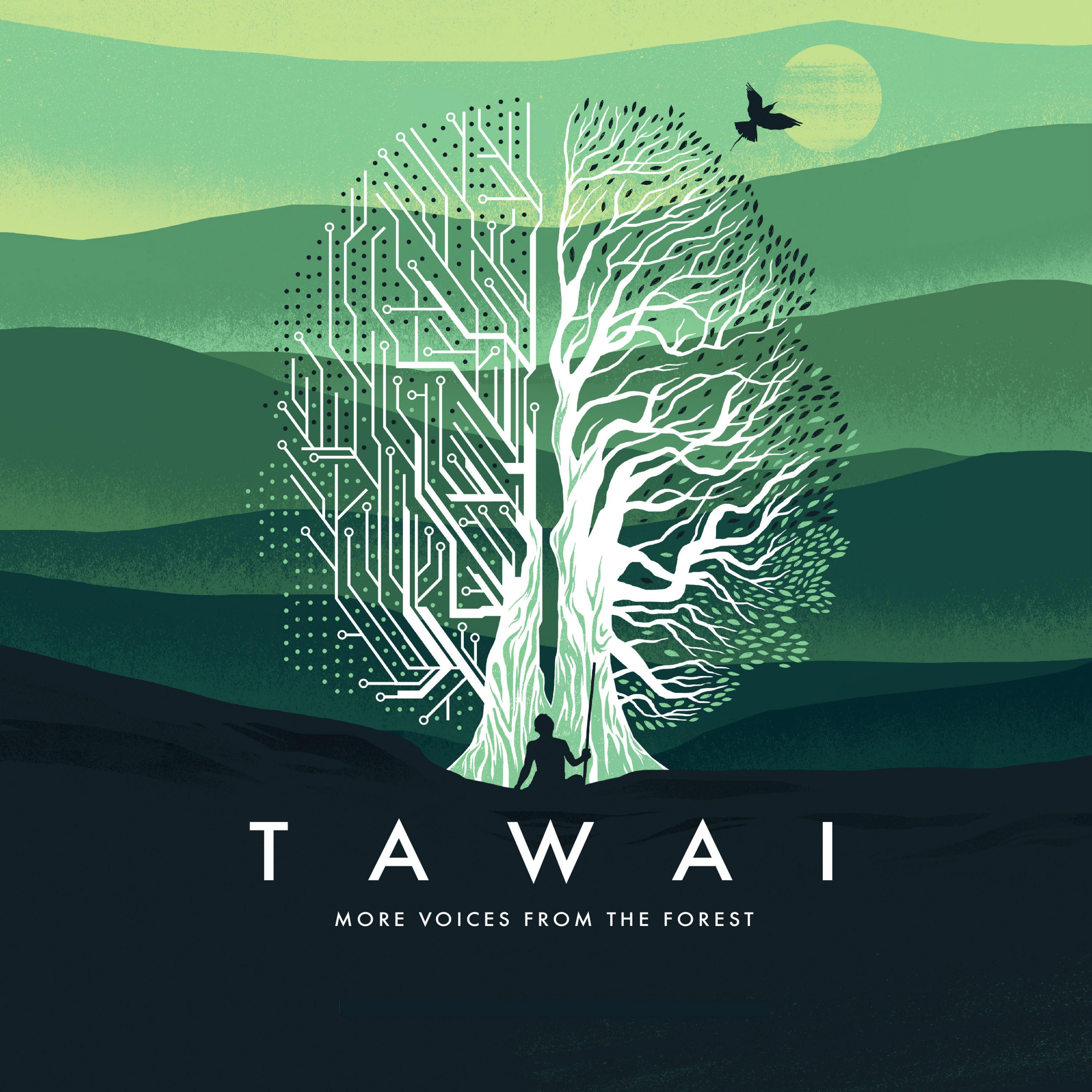 Tawai - More Voices From the Forest