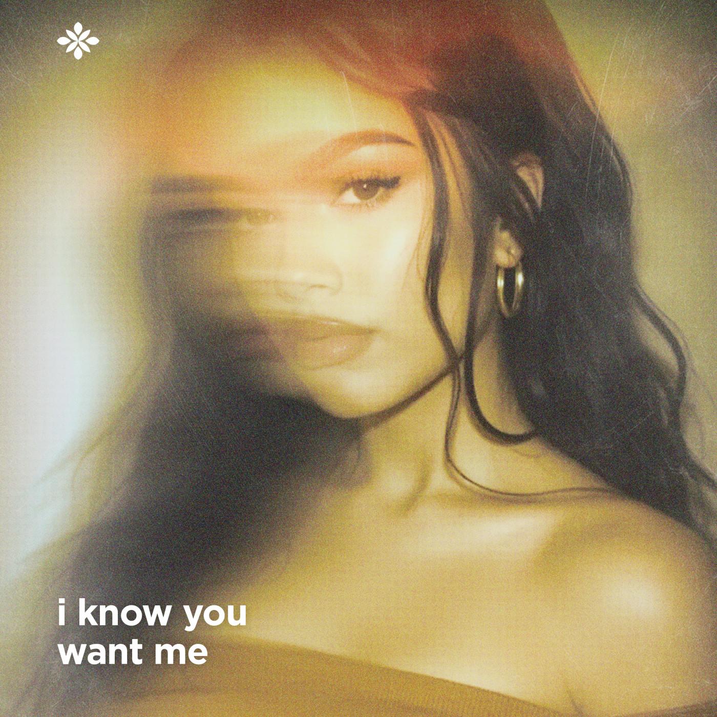 I Know You Want Me [Calle Ocho]