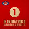 In An Ideal World (continuous DJ mix by BK)