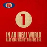 In An Ideal World (Mixed By Tidy Boys & BK)专辑
