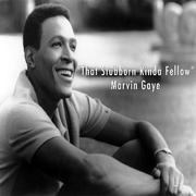 That Stubborn Kinda Fellow - Marvin Gaye