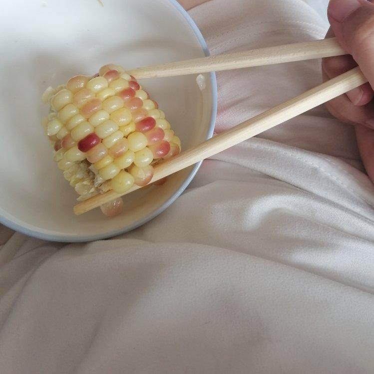 小小钰公主殿下的爱歌