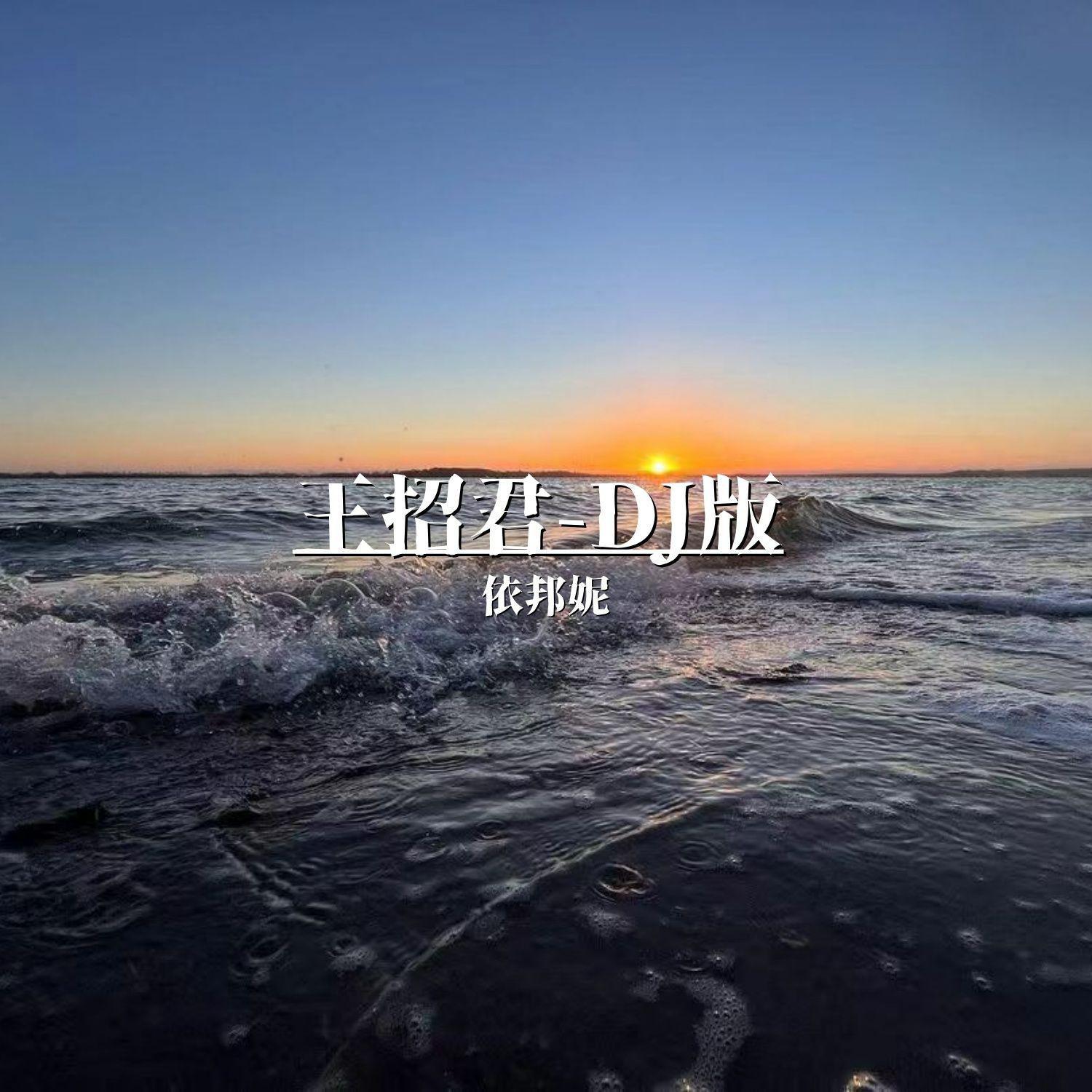 王招君（DJ依邦妮版）