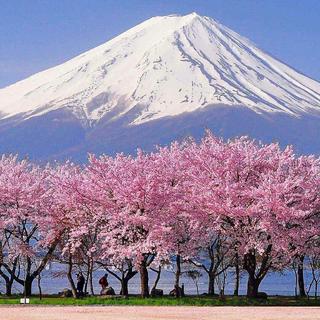 暖心小调｜藏匿冬日里的治愈宝藏