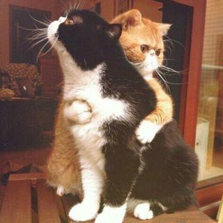 简约fm电台歌曲