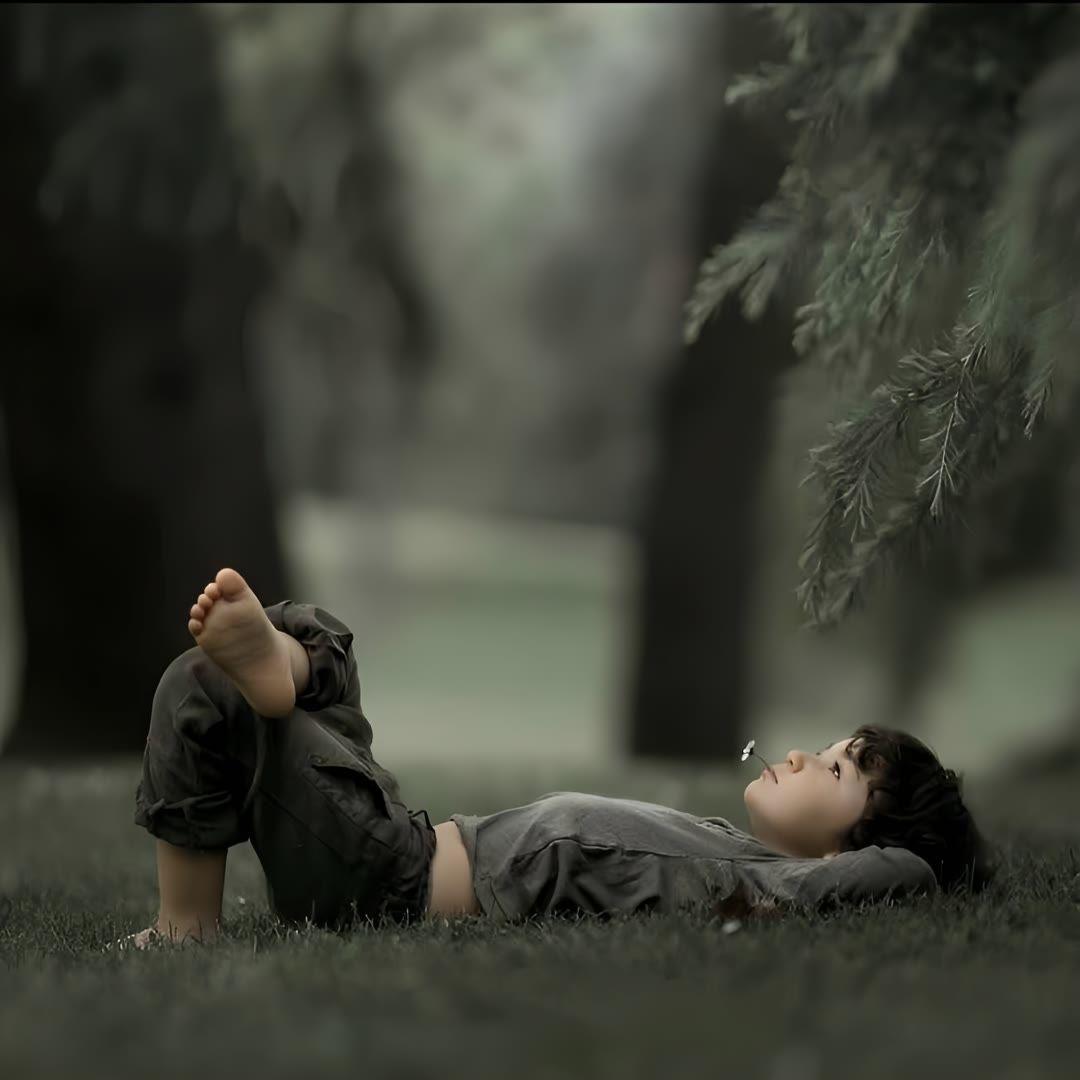 从前的我快乐过
