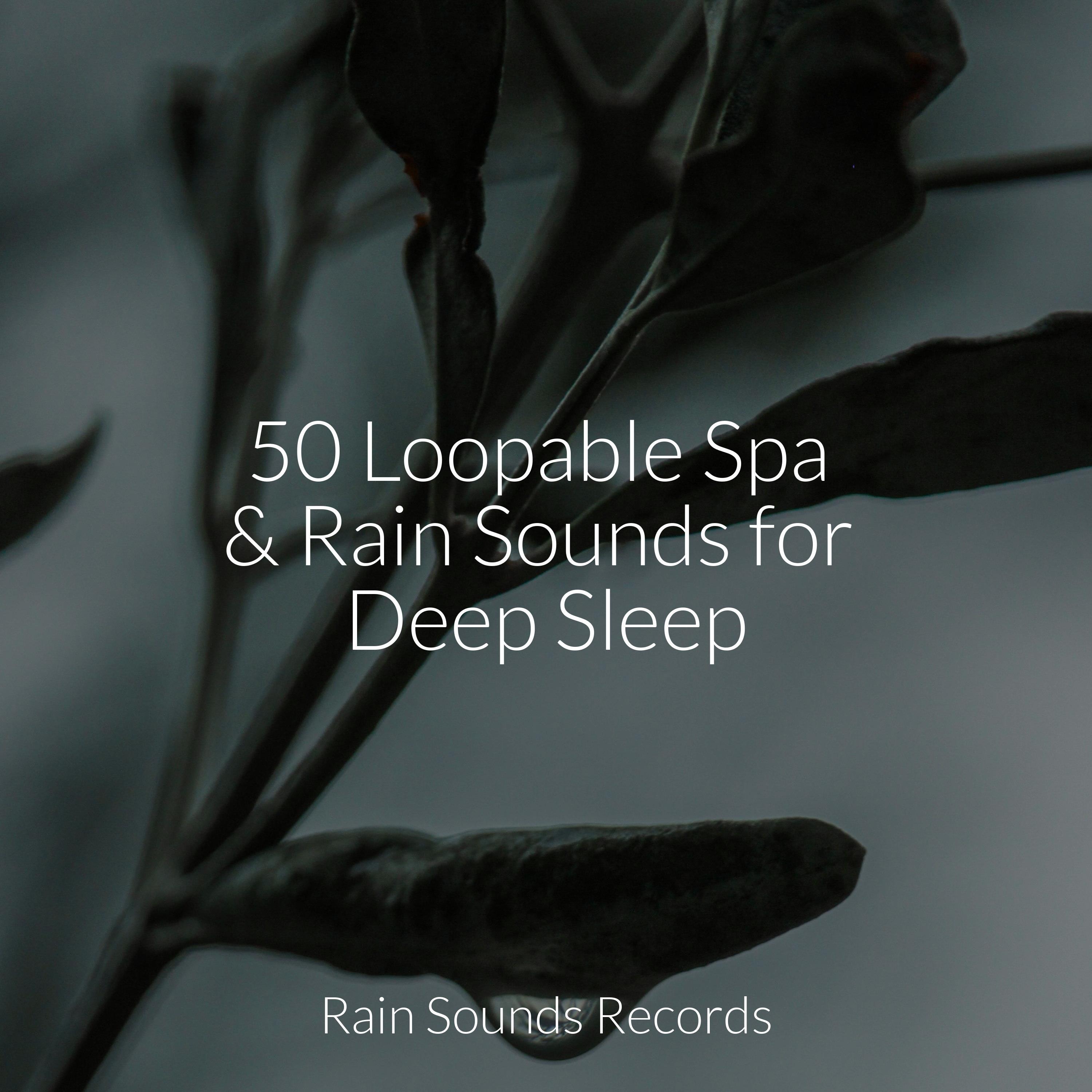 50 Loopable Spa & Rain Sounds for Deep Sleep - Musica Romantica - 专辑 ...