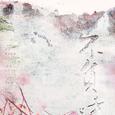 不负时光