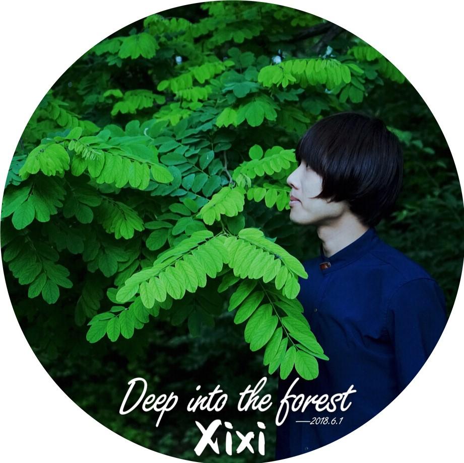 我们走进小树林