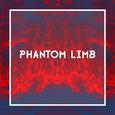 Phantom Limb