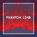 Phantom Limb专辑