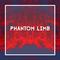 Phantom Limb专辑