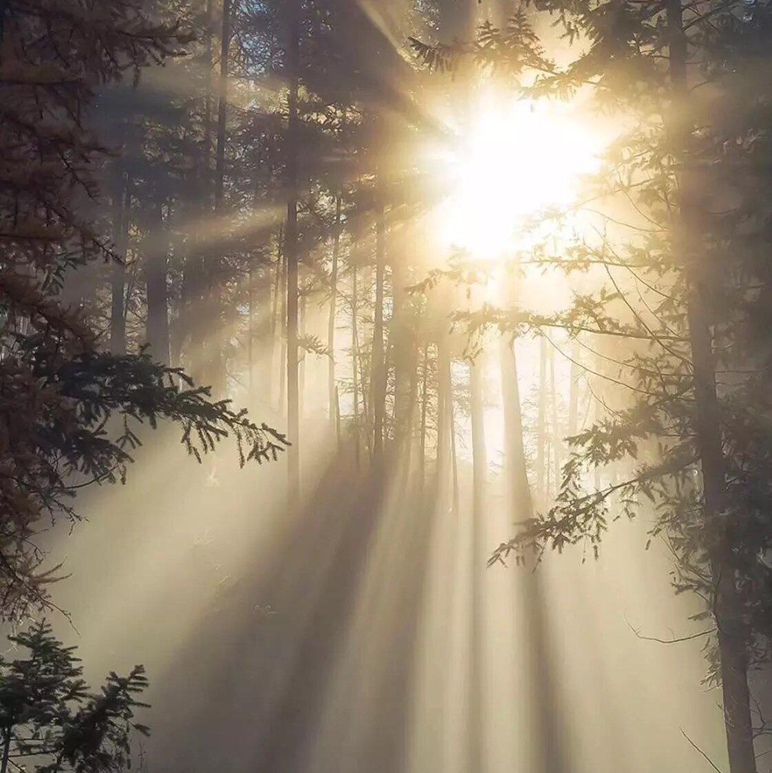 Hymn of praise