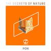 Fox(Original Mix)