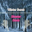 Winter Forest专辑