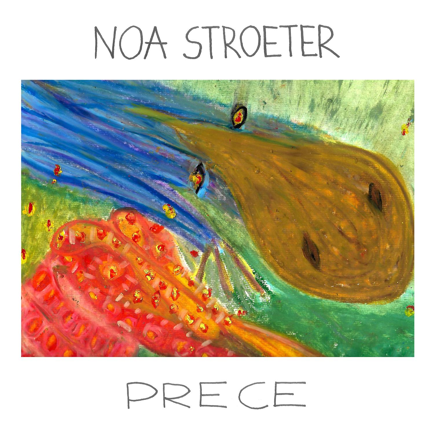 Noa Stroeter - Ornitorrinco e Tatu
