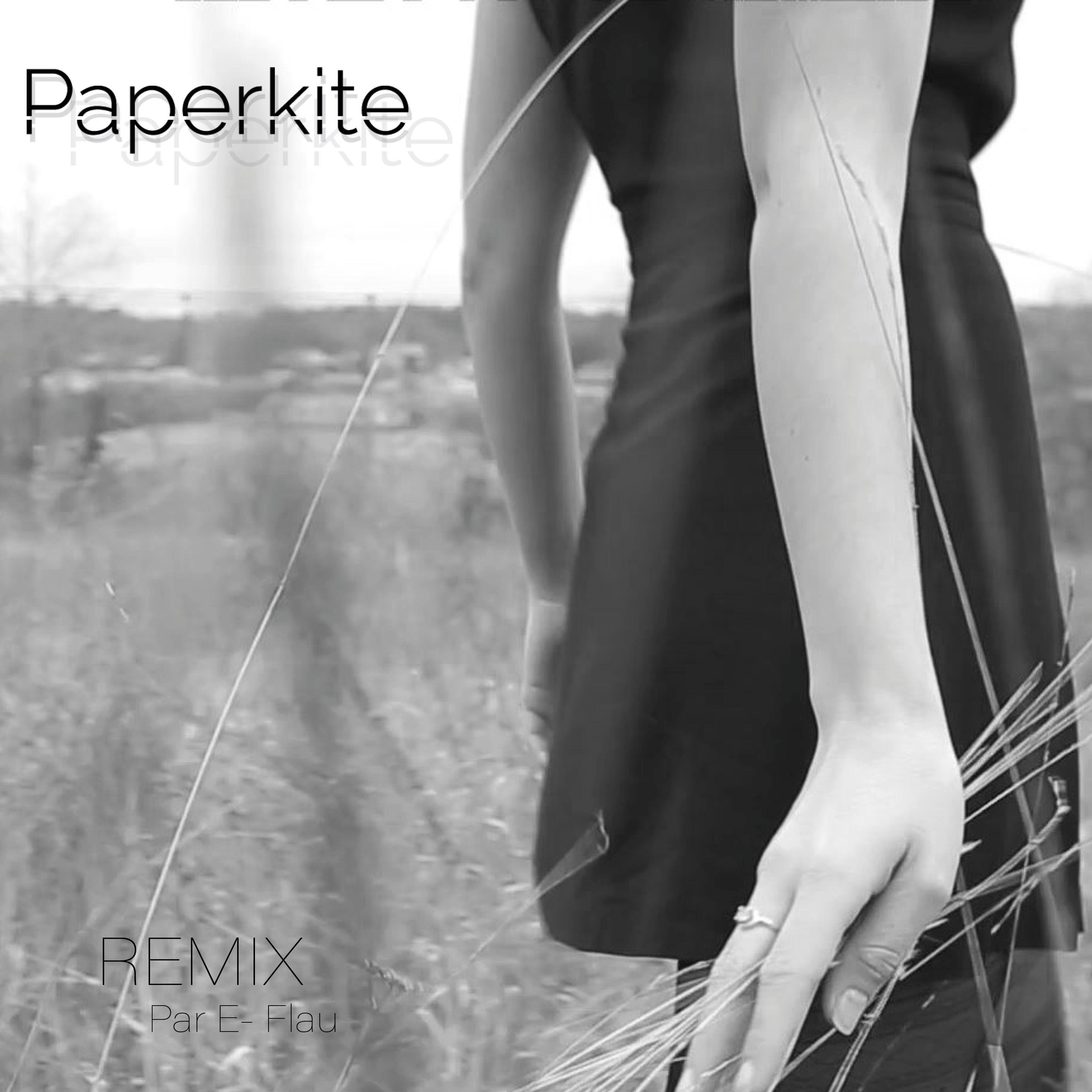 Paperkite (Electro version)