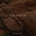 MUSIC OF NATURE