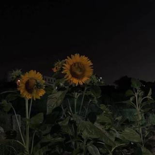 拜托生活 少一些莫名其妙的不快乐