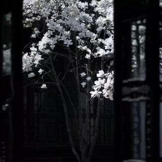 古风情话·既见君子，云胡不喜