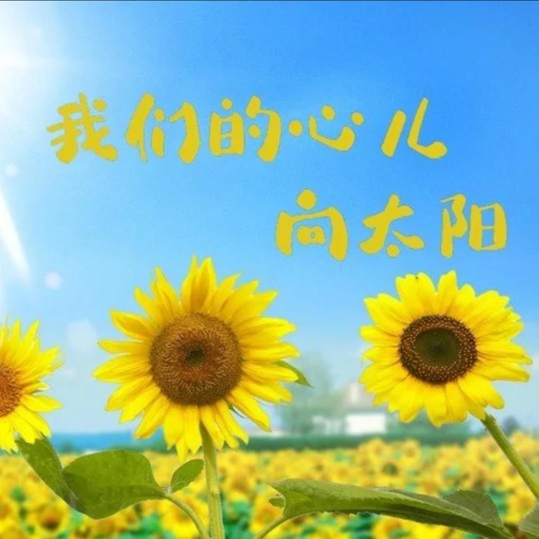 我们的心儿向太阳