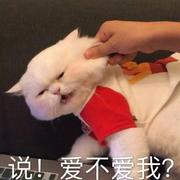 猛男必备