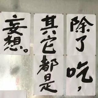 只能靠缘分才能听到的歌