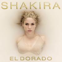 Shakira Nicky Jam  Perro Fiel 伴奏 高品质伴奏 完美好音质