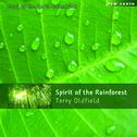 Spirit of the Rainforest专辑