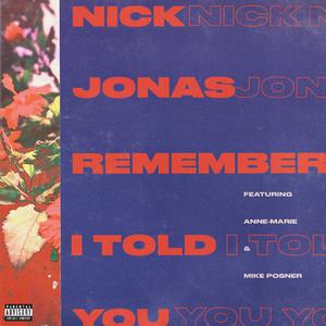Nick Jonas & Mike Posner & Anne-Marie - Remember I Told You (VS karaoke) 带和声伴奏 （降2半音）