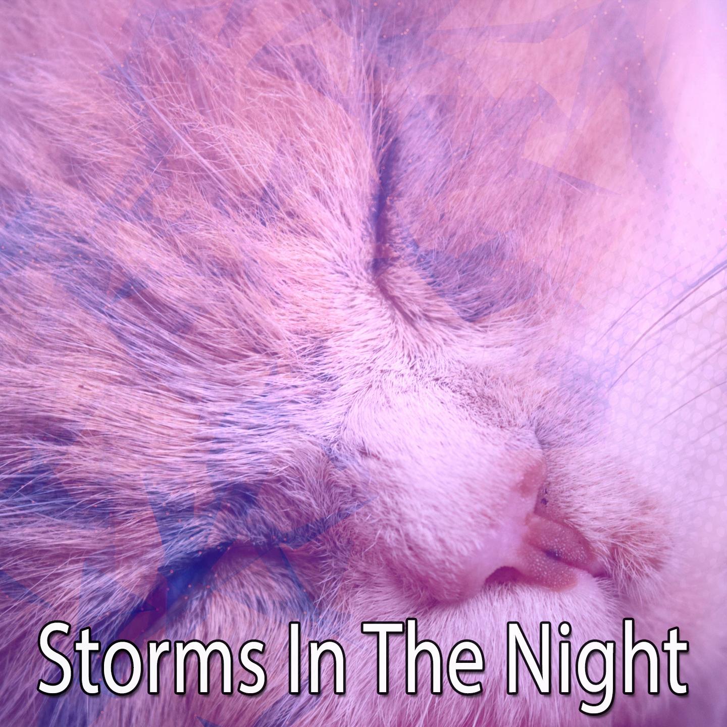 Storms In The Night专辑