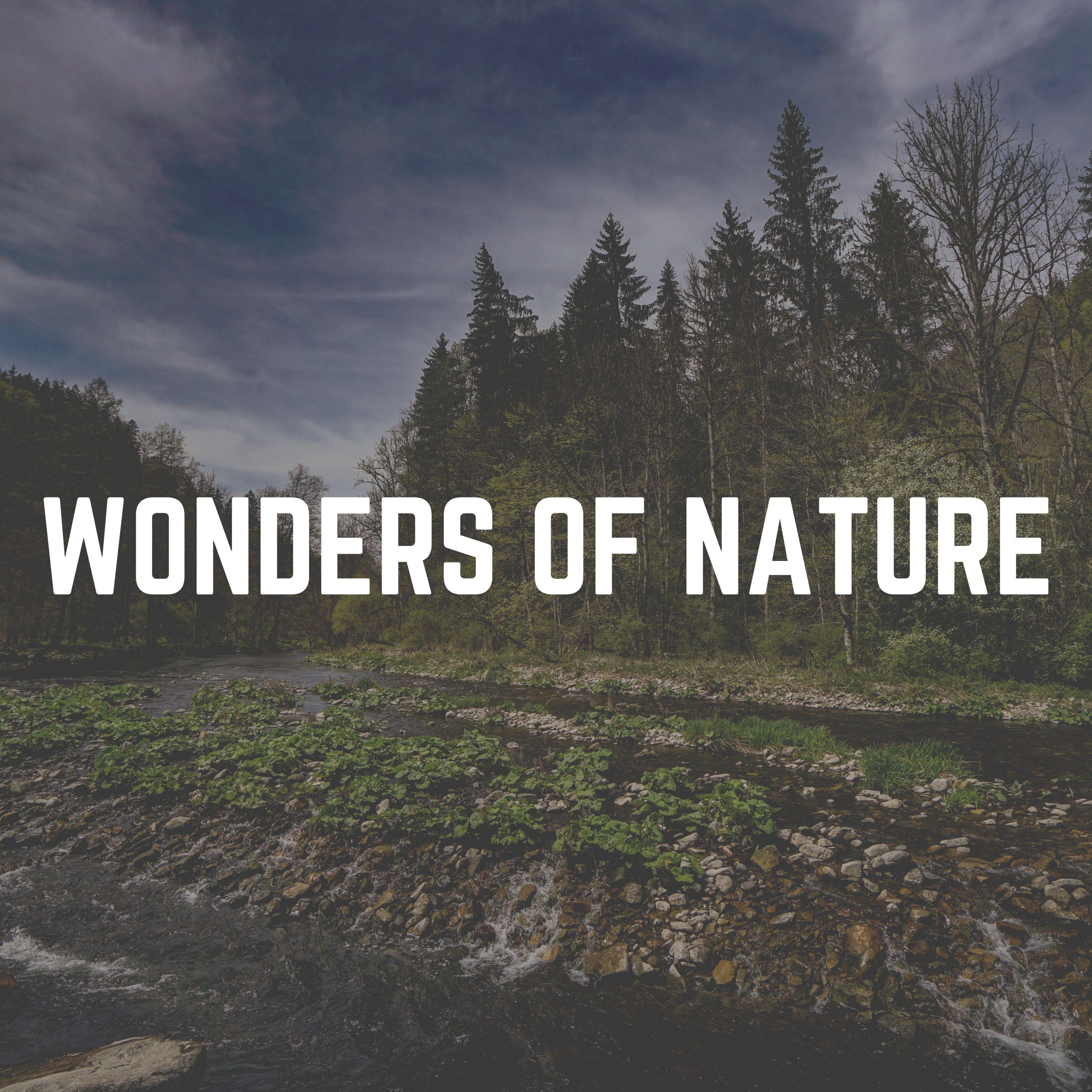 Wonders of Nature