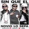 Dayan Viera - Sin Que El Novio Lo Sepa (Remix) (feat. Kabal & J Mulato)