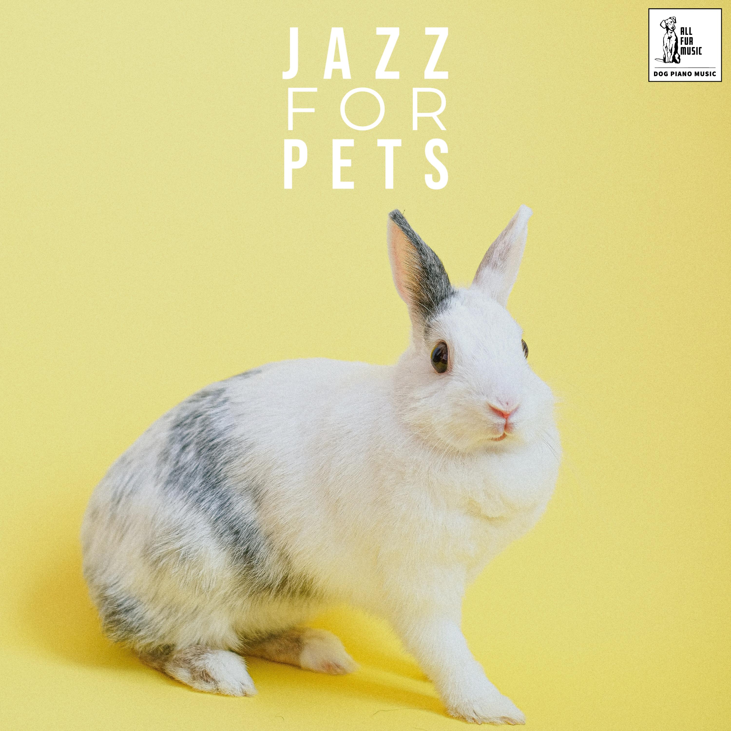 Jazz For Pets