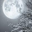 月满虚庭雪未消