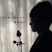 为何又想起你