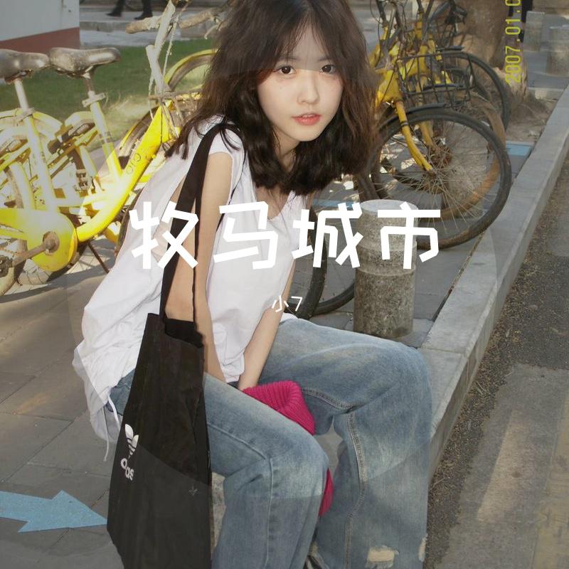 牧马城市
