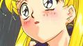 rose cassettes专辑