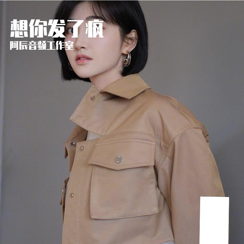 阿辰音频工作室-想你发了疯（阿辰音频工作室 remix）