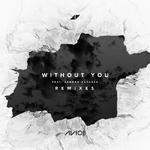 Without You(Stromcoming Remix)专辑