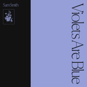 Sam Smith - Forgive Myself (unofficial Instrumental) 无和声伴奏
