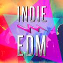 Indie EDM (Discover Some of the Best EDM, Dance, Dubstep and Electronic Party Music from Upcoming Un专辑