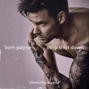 Liam Payne&Quavo-Strip That Down 原版立体声伴奏