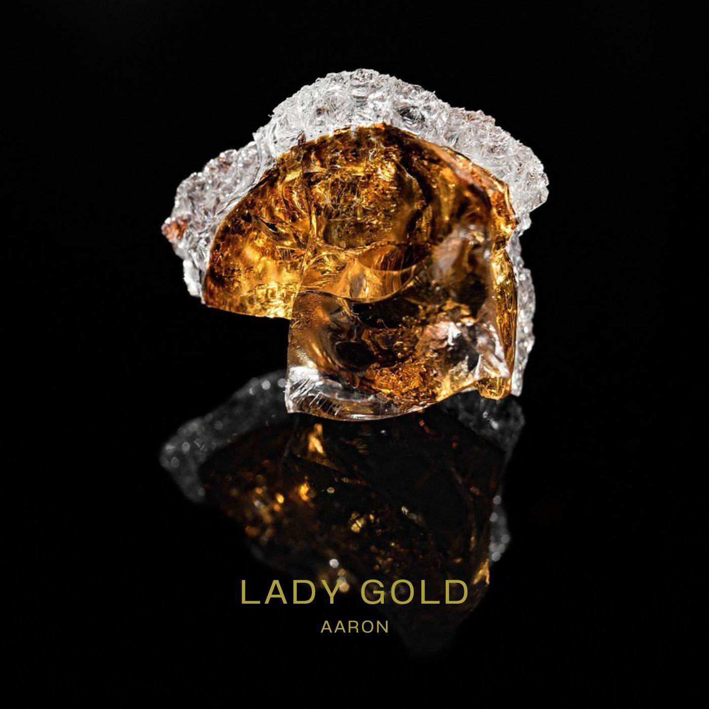 AaRON - Lady Gold