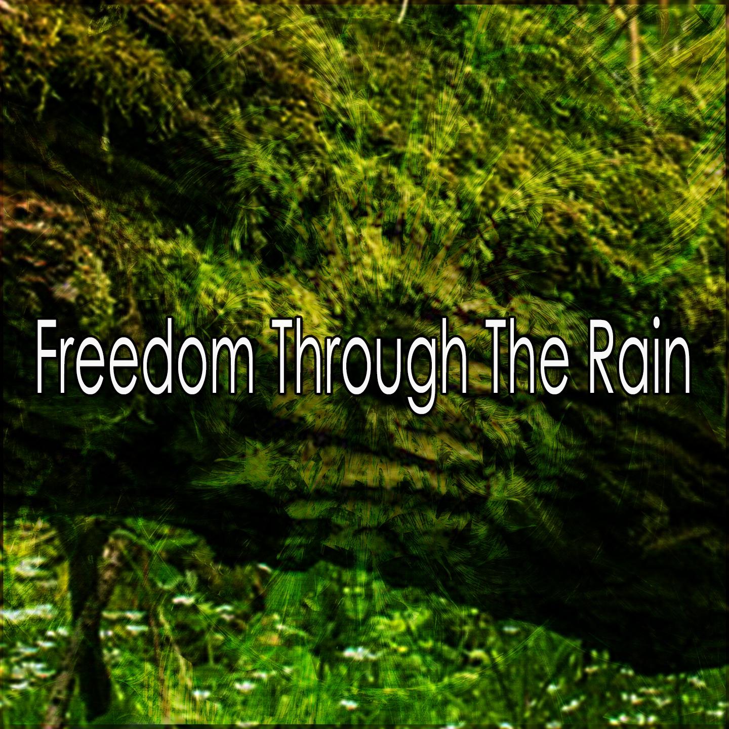 Freedom Through The Rain专辑