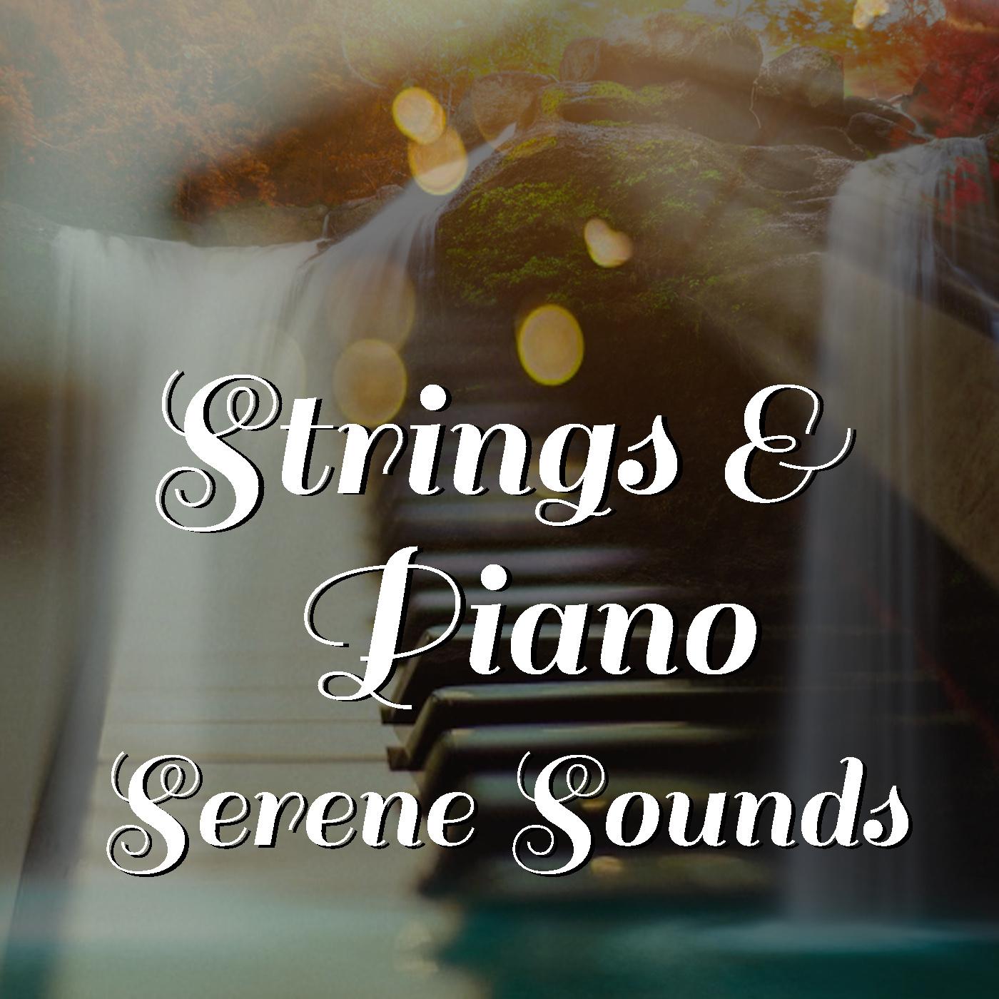 Strings & Piano Serene Sounds