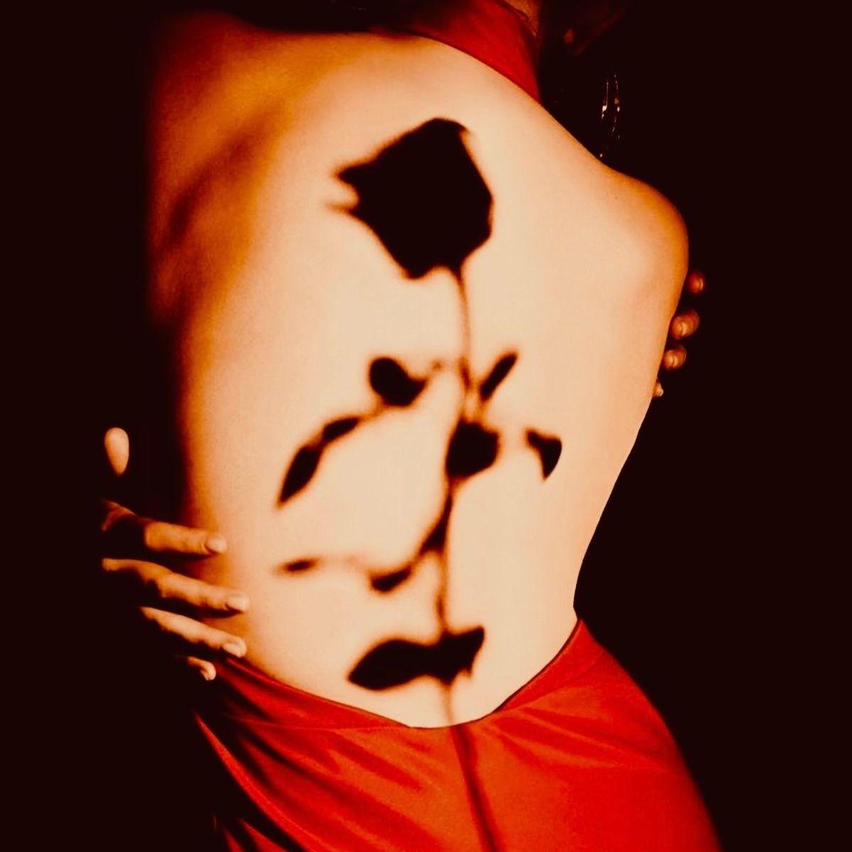 你是我的玫瑰花